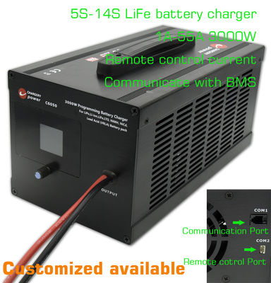 14S LFP Litio Lifepo4 Cargador de batería de CA a CC Sistema de almacenamiento de energía 51.1V 3000W